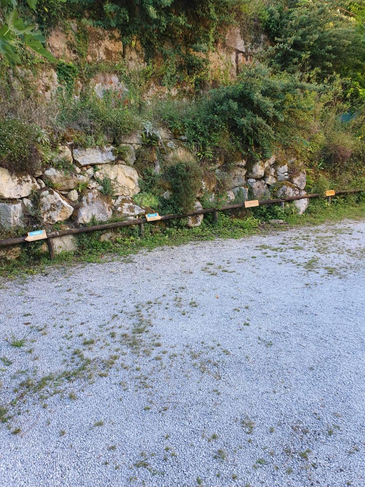 Residence Les Trois Jardins Avec Wifi Et Parking Gratuit Сарла-ла-Канеда Екстер'єр фото